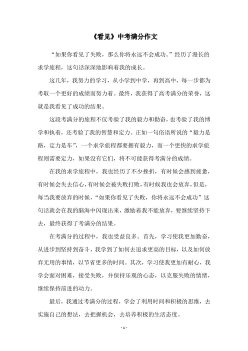 《看见》中考满分作文