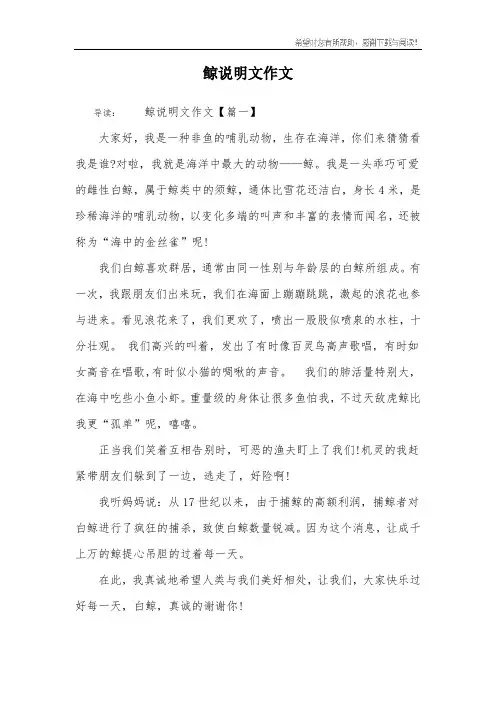 鲸说明文作文