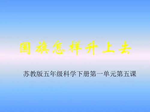 五年级下 国旗怎样升上去苏教版实用PPT (共9张PPT)