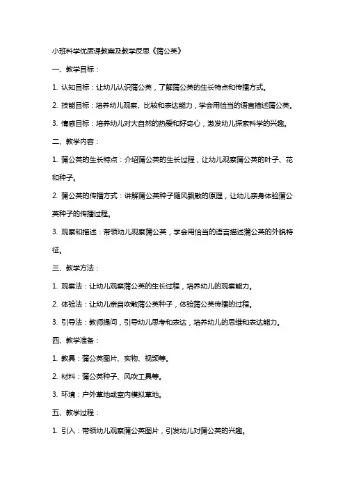 小班科学课教案及教学反思《蒲公英》