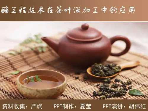 酶工程技术在茶叶深加工中的应用