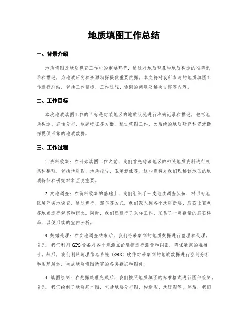 地质填图工作总结