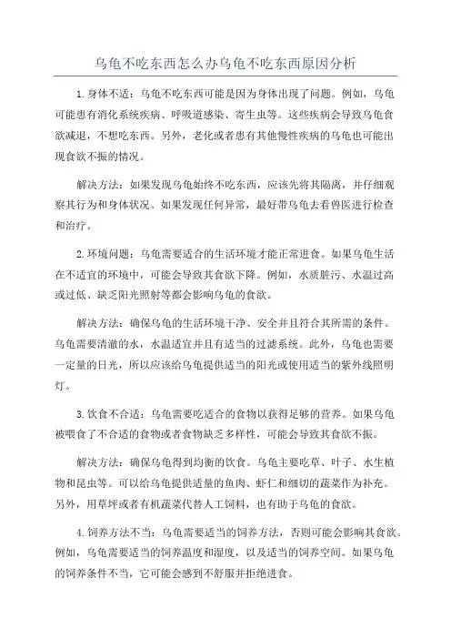 乌龟不吃东西怎么办乌龟不吃东西原因分析