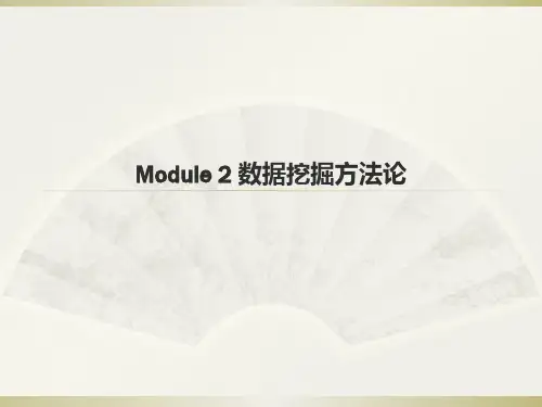 数据挖掘方法论精品PPT课件