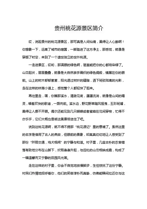 贵州桃花源景区简介