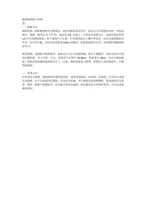 枇杷树种植与管理