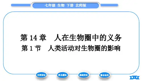 北师版七年级生物下第4单元生物圈中的人第14章人在生物圈中的义务第1节人类活动对生物圈的影响习题课件