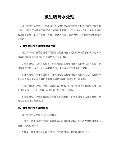 微生物污水处理