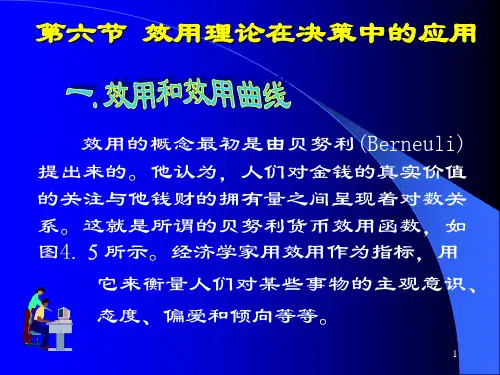 第六节效用理论及应用