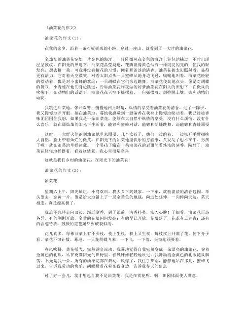 油菜花的作文16篇