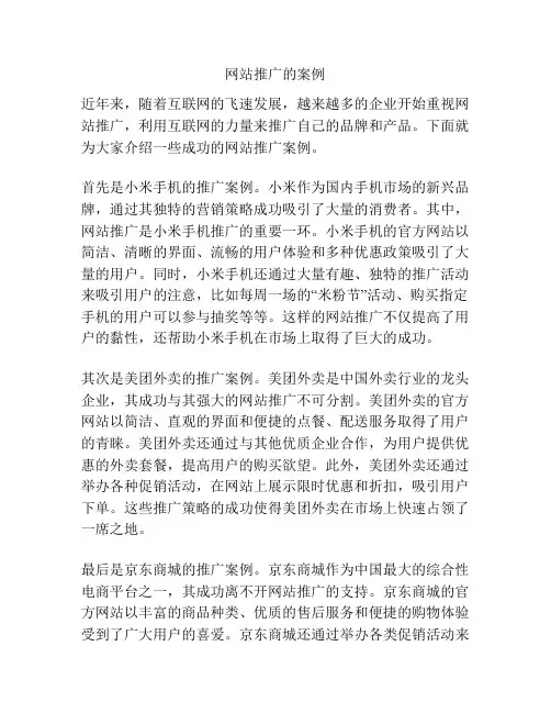 网站推广的案例
