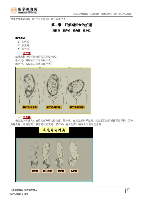 妊娠期妇女的护理--初级护师考试辅导《妇产科护理学》第二章讲义3