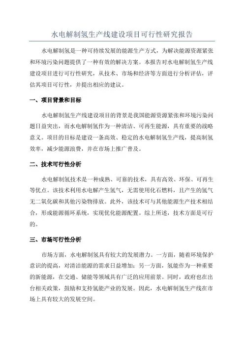 水电解制氢生产线建设项目可行性研究报告