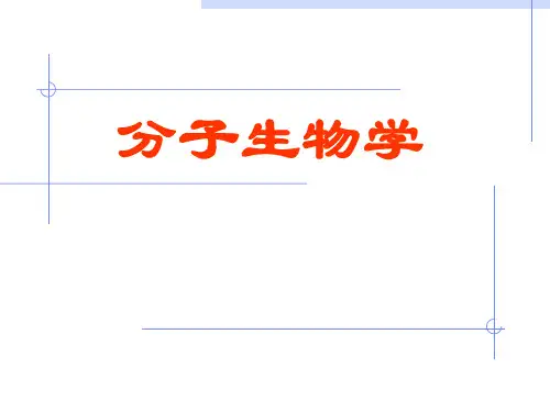 分子生物学导论(ppt)