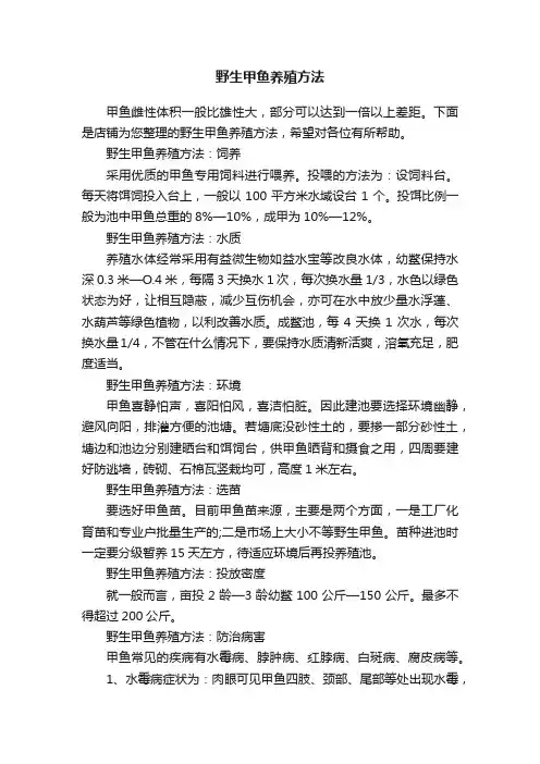 野生甲鱼养殖方法