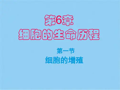 细胞大小与物质运输的关系(共7张PPT)