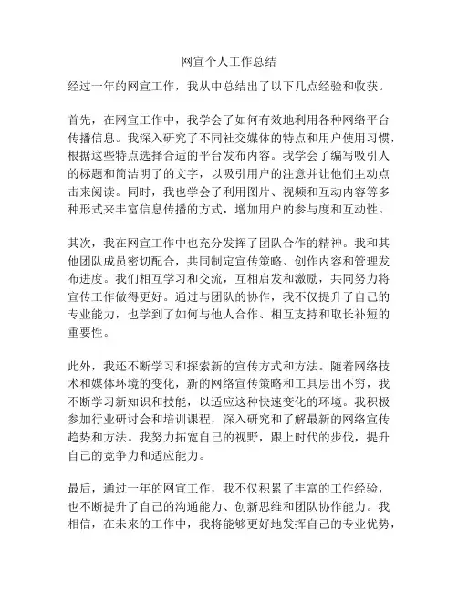 网宣个人工作总结