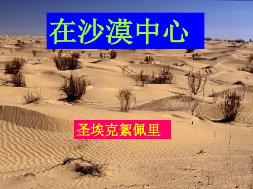 《在沙漠中心》 省赛获奖-完整版课件