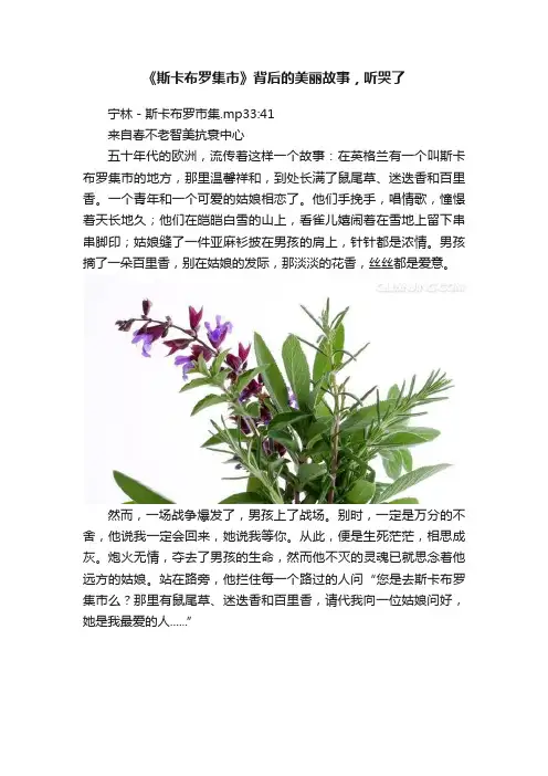 《斯卡布罗集市》背后的美丽故事，听哭了