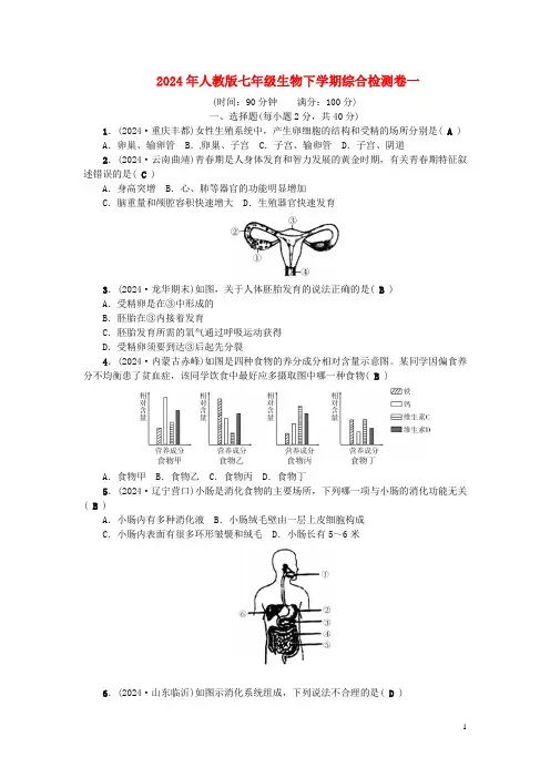 2024年七年级生物下学期综合检测卷一新人教版