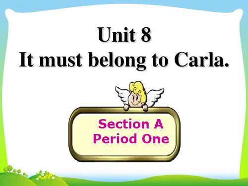 人教英语九年级全一册Unit8Section A 1a—1c(共22张PPT)
