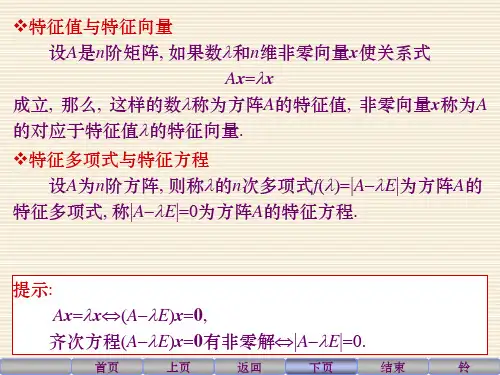 特征多项式