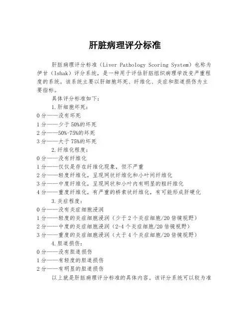 肝脏病理评分标准