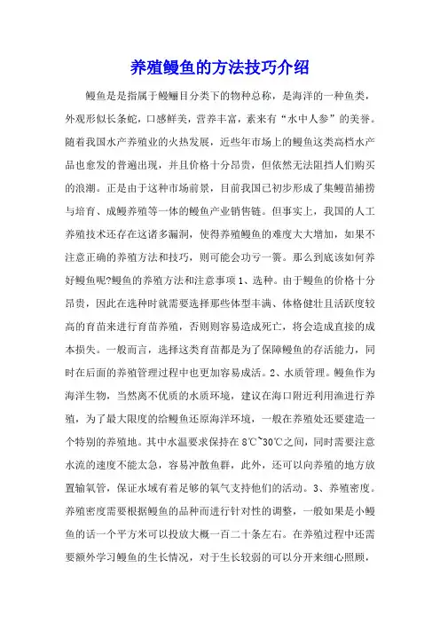 养殖鳗鱼的方法技巧介绍