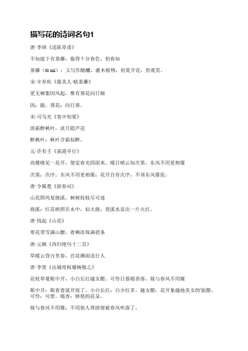 描写花的诗词名句(臻选12篇)