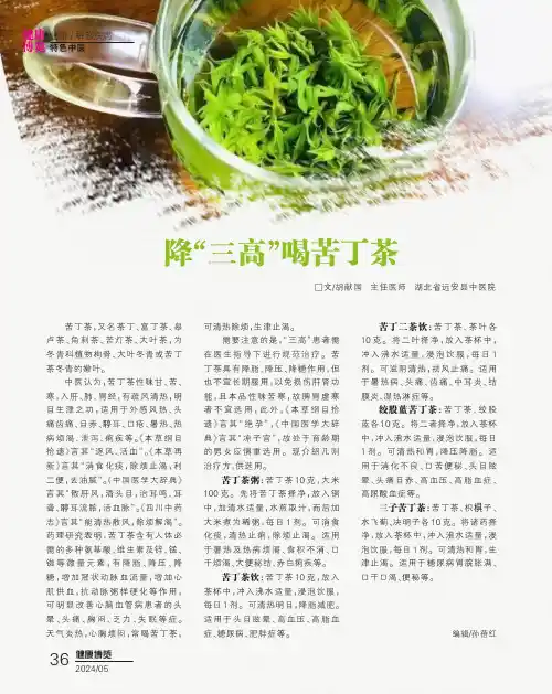降“三高”喝苦丁茶