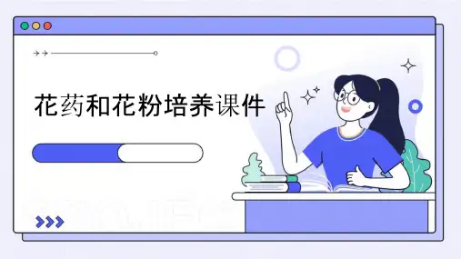 花药和花粉培养课件