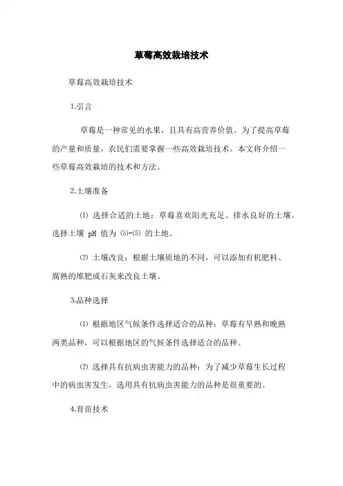 草莓高效栽培技术
