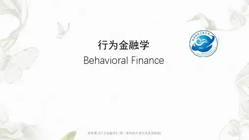 饶育蕾《行为金融学》(第二章有效市场价说及其缺陷)ppt课件