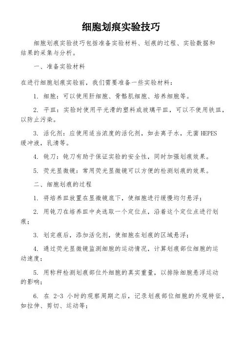 细胞划痕实验技巧