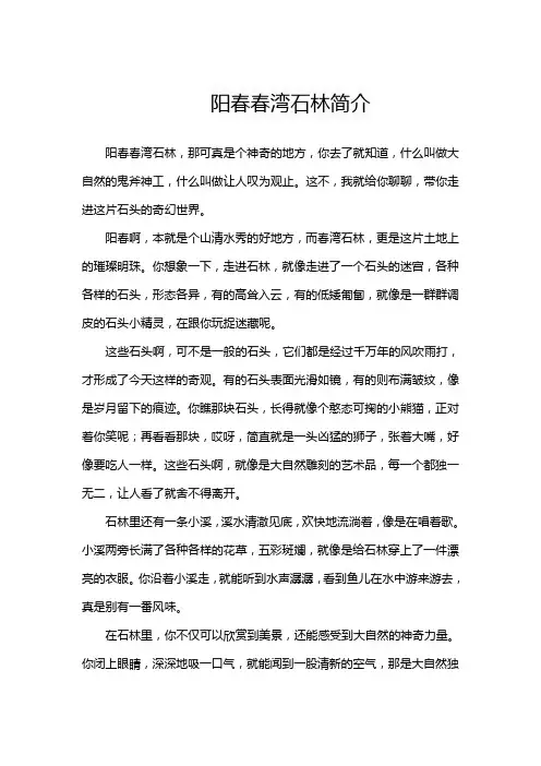 阳春春湾石林简介