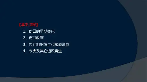 251皮肤创伤愈合病理学