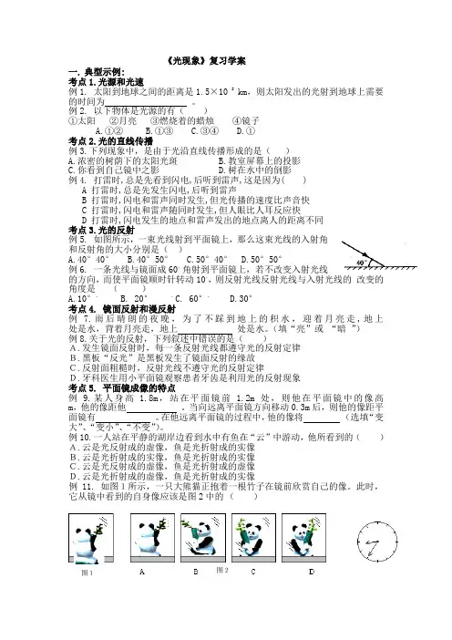 《光现象》复习学案