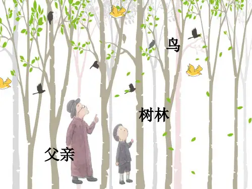 部编版三年级上册《父亲、树林和鸟》优秀课件