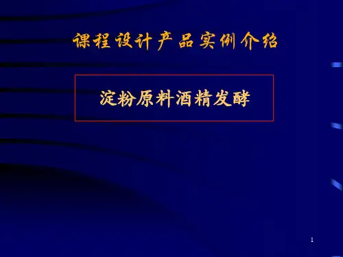 酒精发酵工艺过程ppt课件