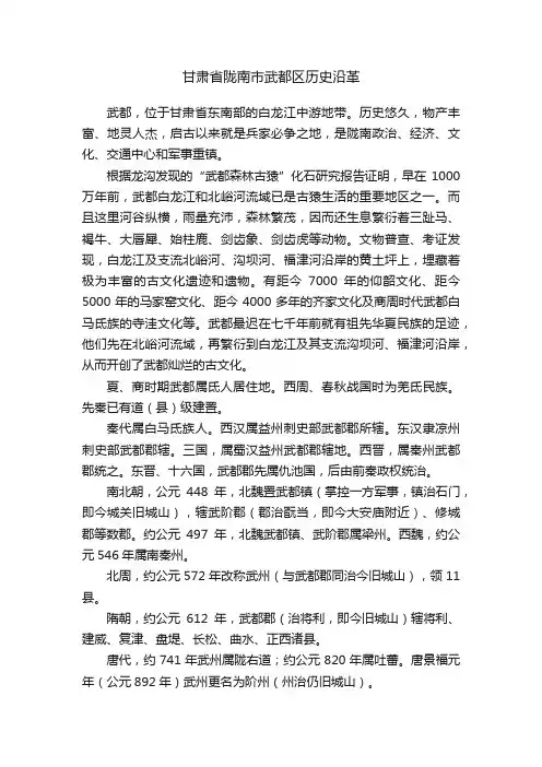 甘肃省陇南市武都区历史沿革