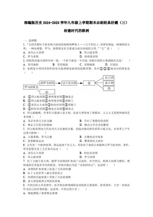 部编版历史2024-2025学年九年级上学期期末必刷经典好题(三)(含答案)