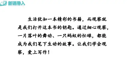 人教新教材七年级语文上册 第1单元写作  热爱写作,学会观察