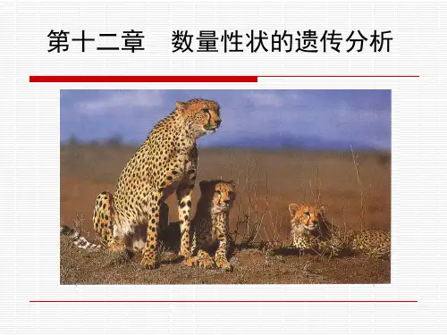 遗传学-数量性状的遗传分析