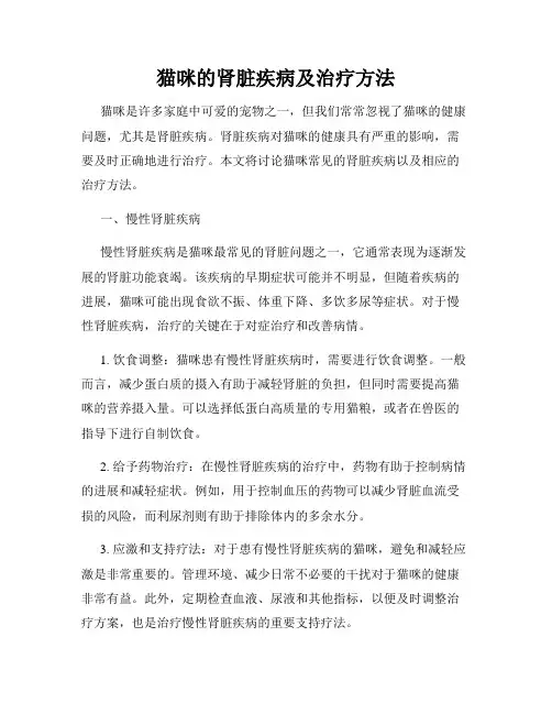 猫咪的肾脏疾病及治疗方法