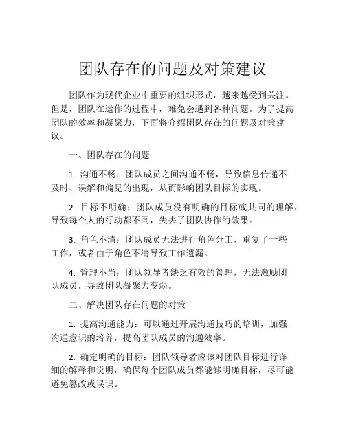 团队存在的问题及对策建议
