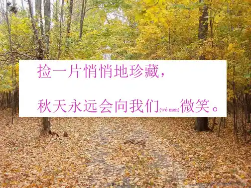 《秋天的树叶》课件