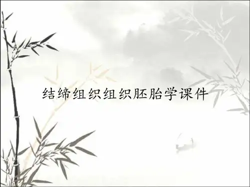结缔组织组织胚胎学课件