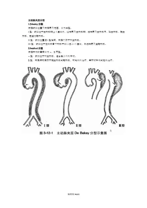 主动脉夹层分型