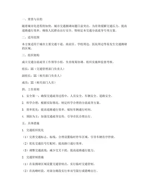 交通分流疏导专项方案