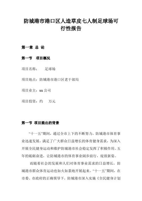 防城港市港口区七人制足球场可行性报告：经济管理 人力资源 广告 方案 策划